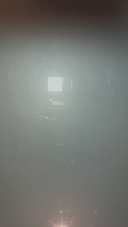 Starters Linee Evolutive | 151 | Bulbasaur, Charmender, Squirtle, Ivysaur, Charmeleon, Wartortle, Venusaur, Charizard, Blastoise